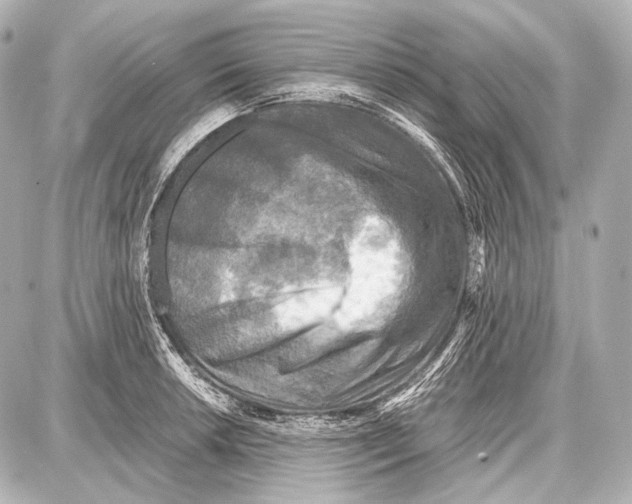 X0000087011042200705141826