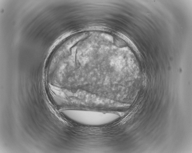 X0000087011043200705141826