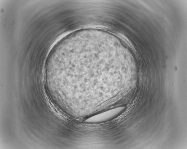 X0000087011044200705141826