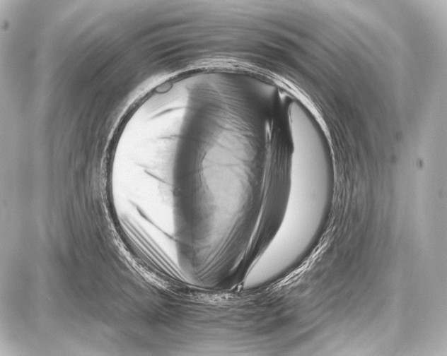 X0000087011045200705141826