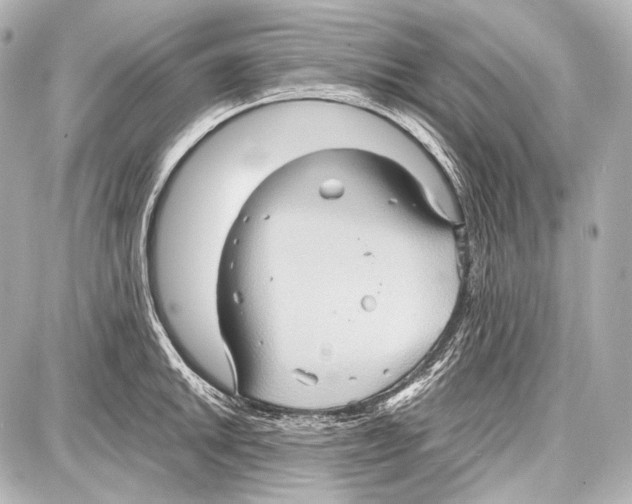 X0000087011046200705141826