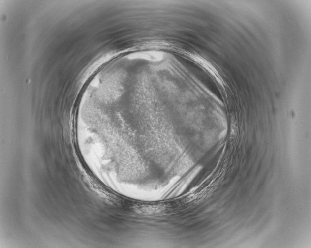 X0000087011047200705141826