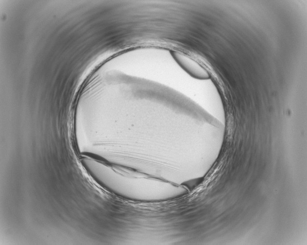 X0000087011048200705141826