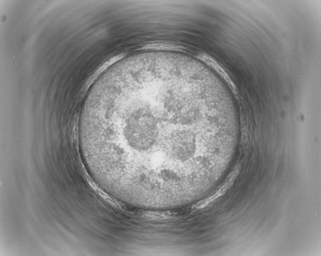 X0000087011049200705141826