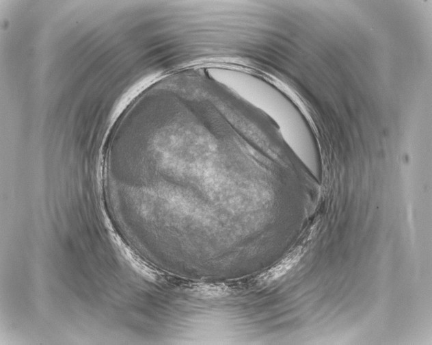 X0000087011050200705141826