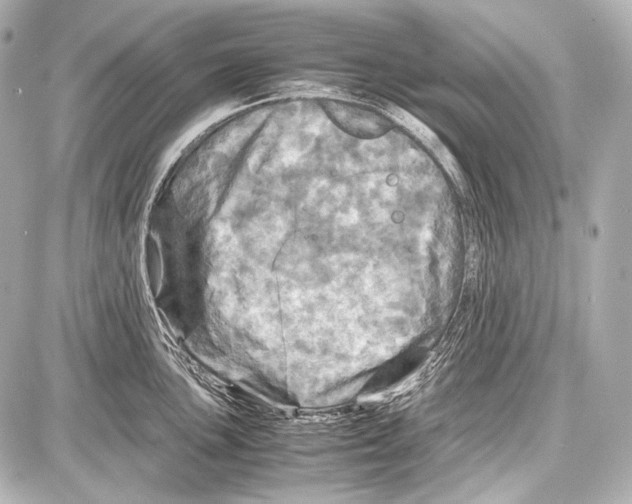 X0000087011051200705141826