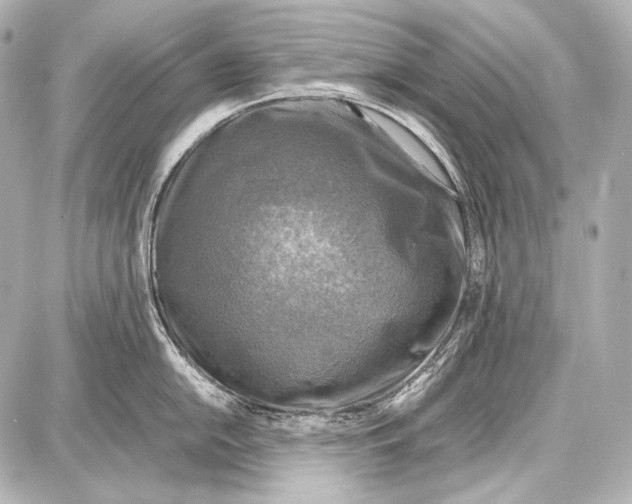 X0000087011054200705141826