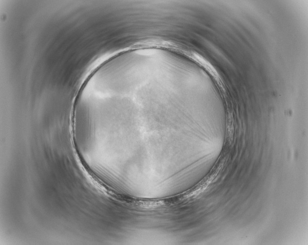 X0000087011055200705141826