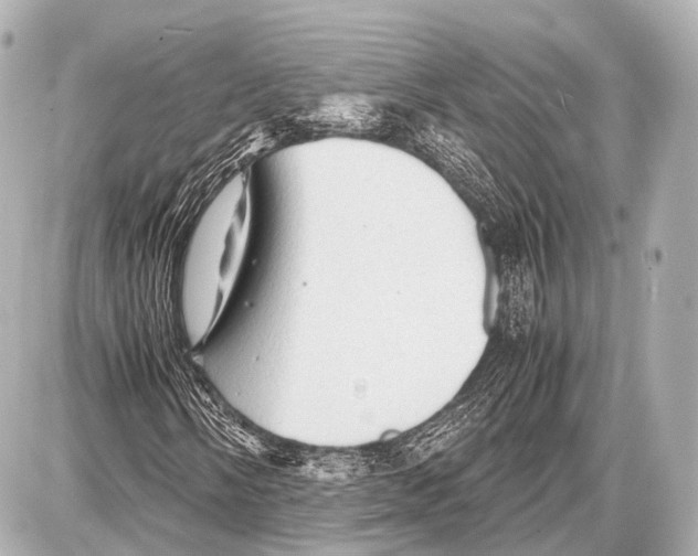 X0000087011058200705141826