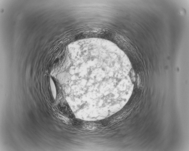 X0000087011059200705141826