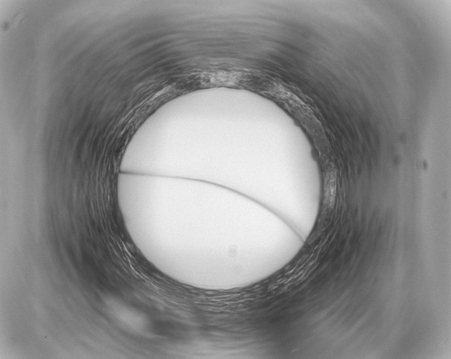 X0000087011060200705141826