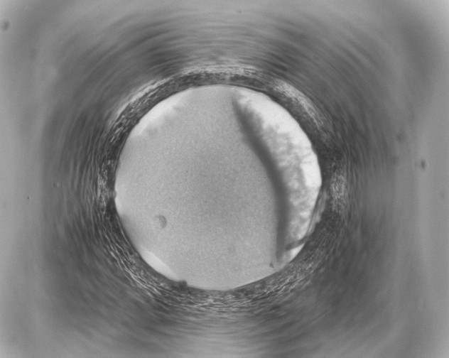 X0000087011064200705141826