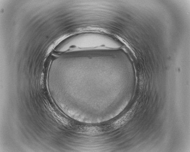 X0000087011066200705141825