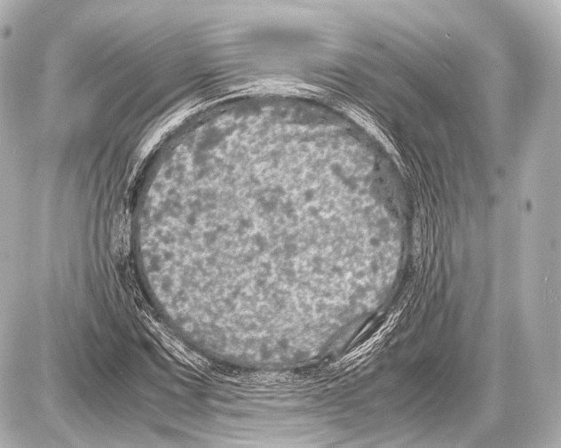 X0000087011067200705141825