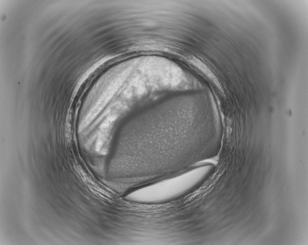 X0000087011068200705141825