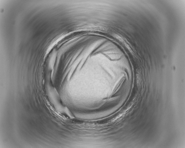 X0000087011069200705141825