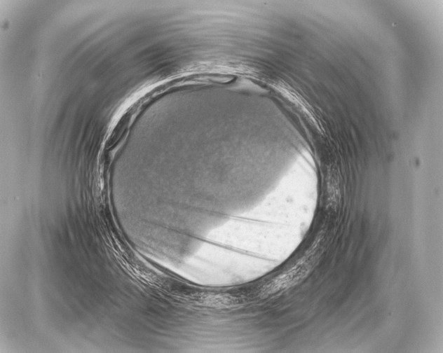 X0000087011070200705141825