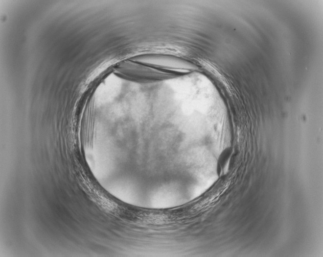 X0000087011071200705141825