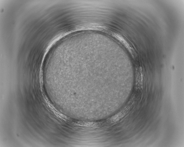 X0000087011072200705141825