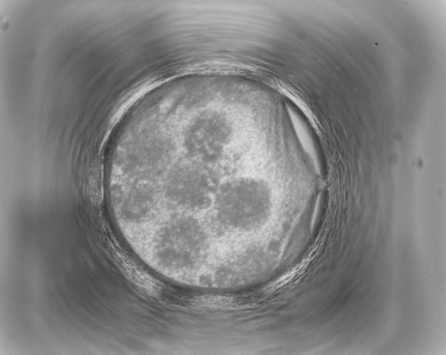 X0000087011075200705141825