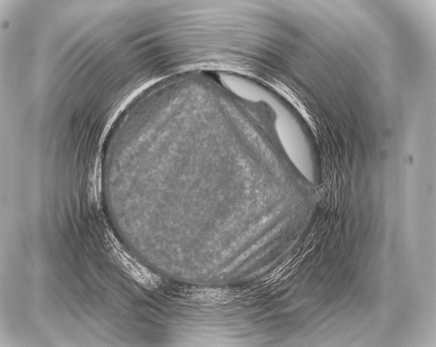 X0000087011076200705141825