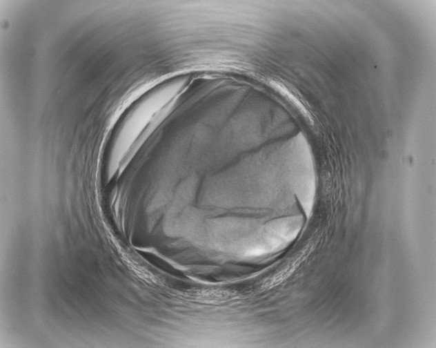 X0000087011077200705141825