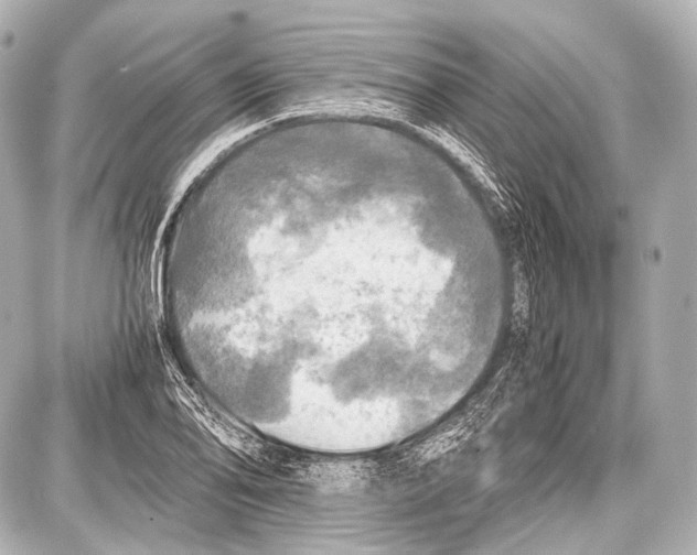 X0000087011078200705141825