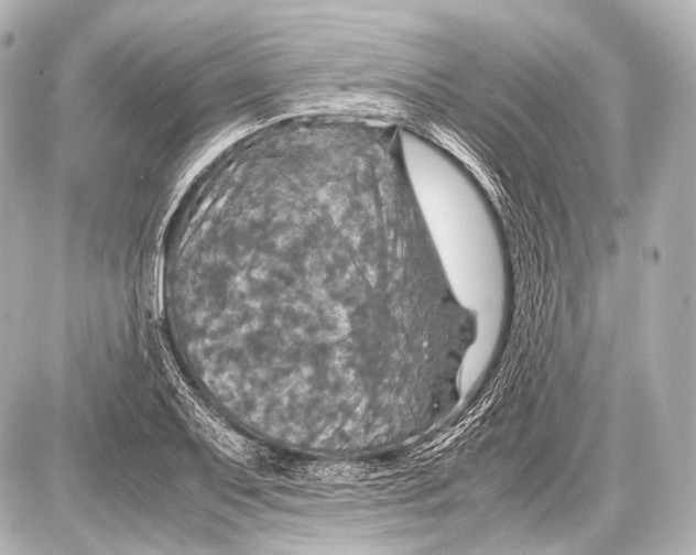 X0000087011079200705141825