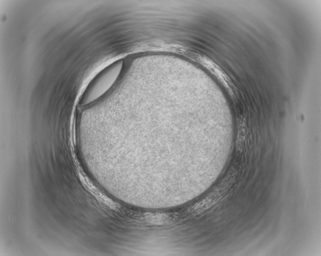 X0000087011080200705141825