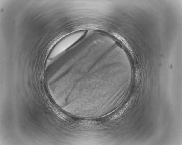 X0000087011081200705141825