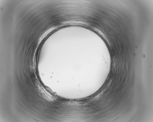 X0000087011082200705141825