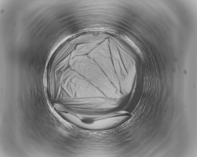 X0000087011084200705141825