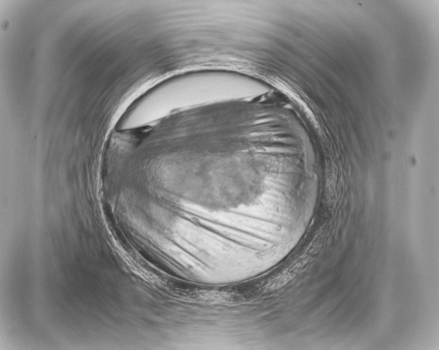 X0000087011085200705141825