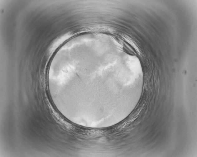 X0000087011087200705141825