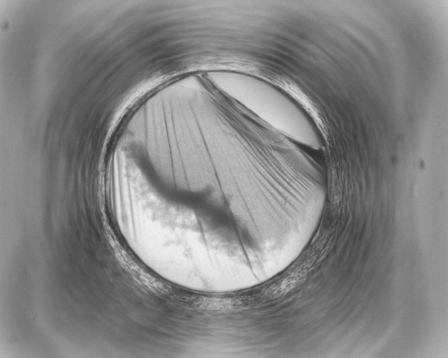 X0000087011088200705141825