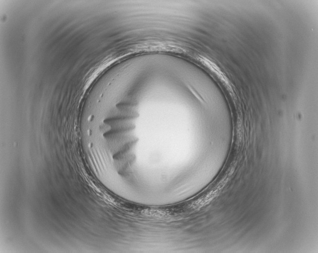 X0000087011089200705141825