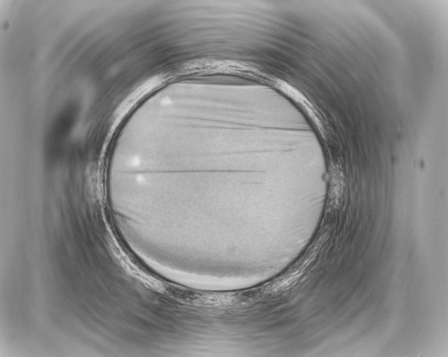 X0000087011090200705141825