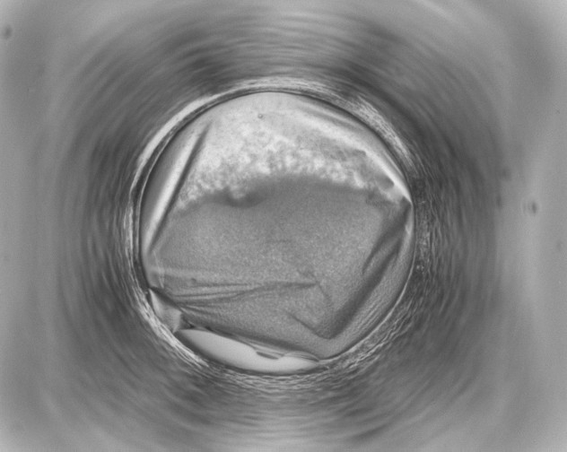 X0000087011092200705141825