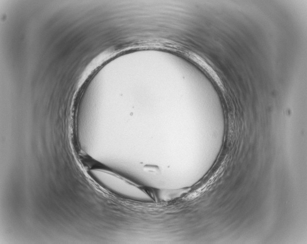 X0000087011093200705141825