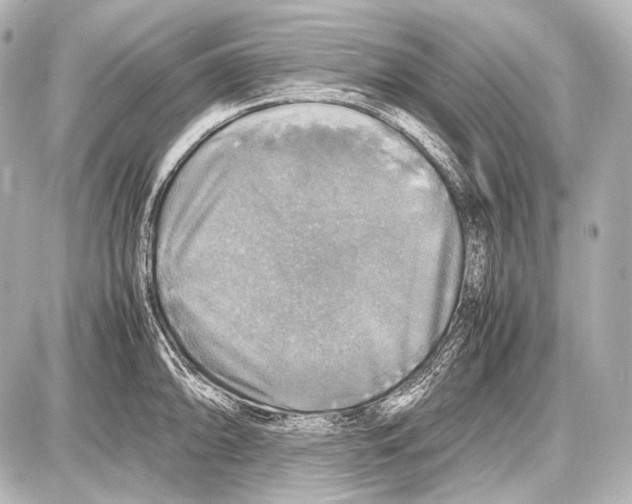 X0000087011094200705141825