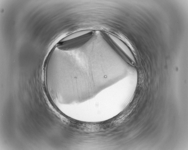 X0000087011095200705141825