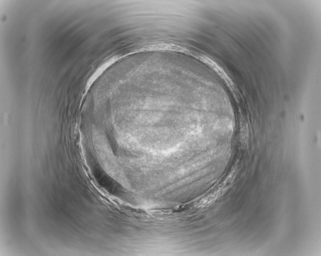 X0000087011097200705141825