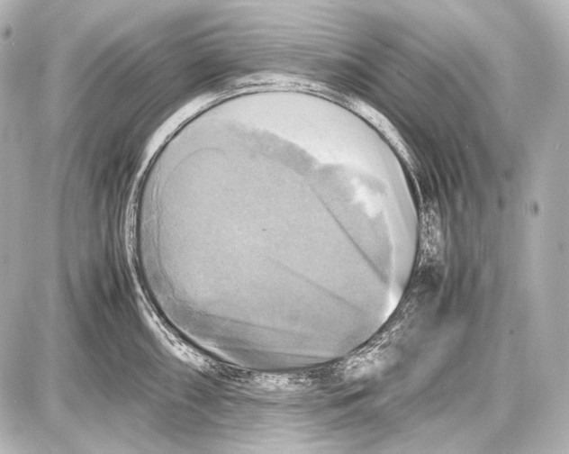 X0000087011098200705141825