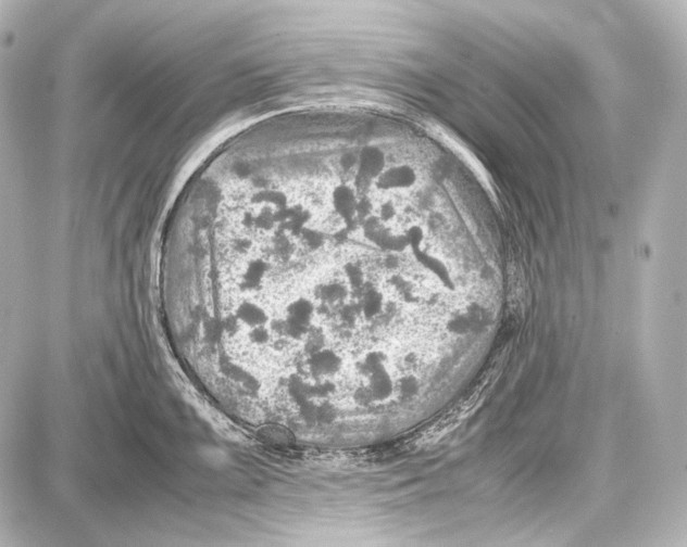 X0000087011099200705141825