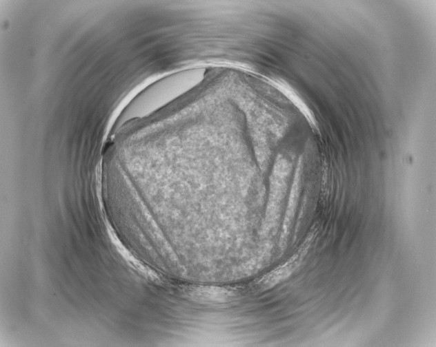 X0000087011100200705141825