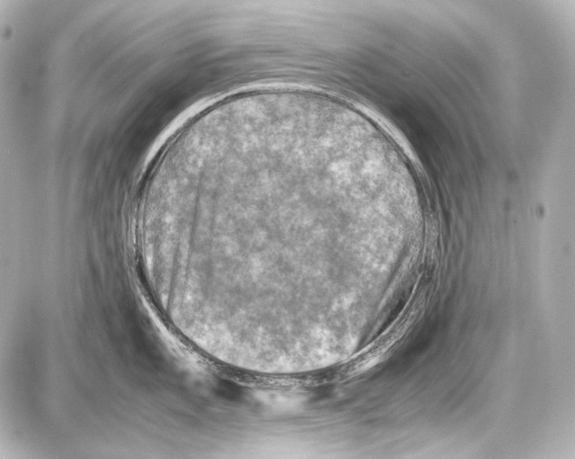 X0000087011101200705141825