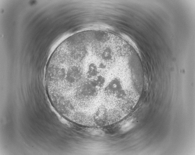 X0000087011103200705141825