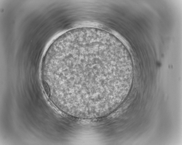 X0000087011104200705141825