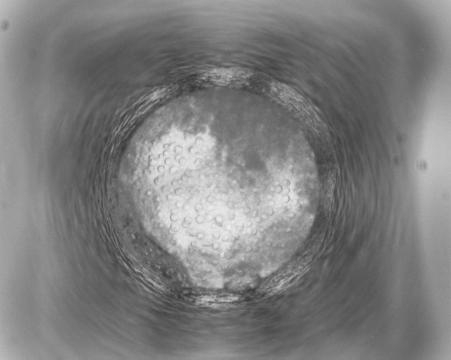 X0000087011105200705141824