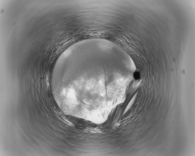 X0000087011106200705141824